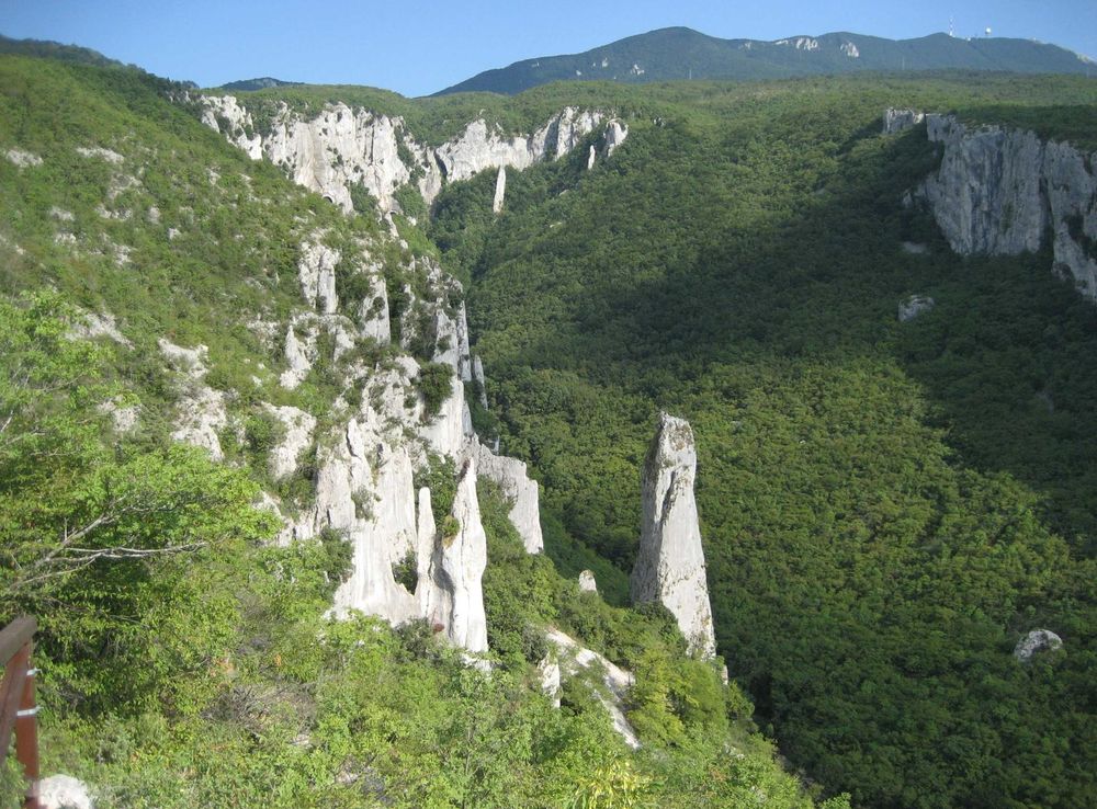 Slika:Vela Draga 2008 Valley, Northwest Croatia.JPG - Wikipedija, prosta  enciklopedija
