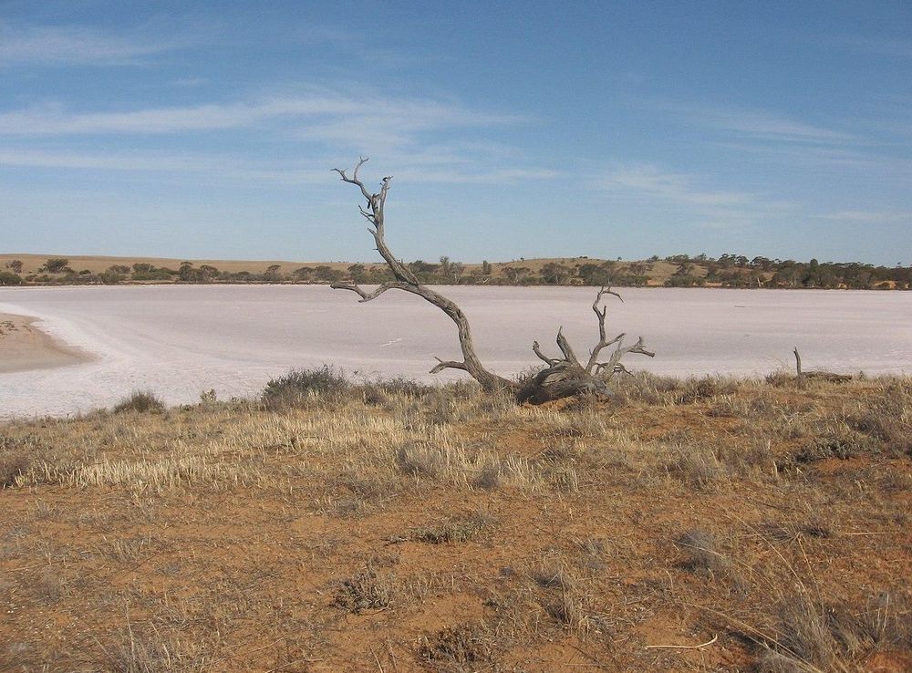 File:Pink Lakes at Murray Sunset NP.JPG - Wikimedia Commons