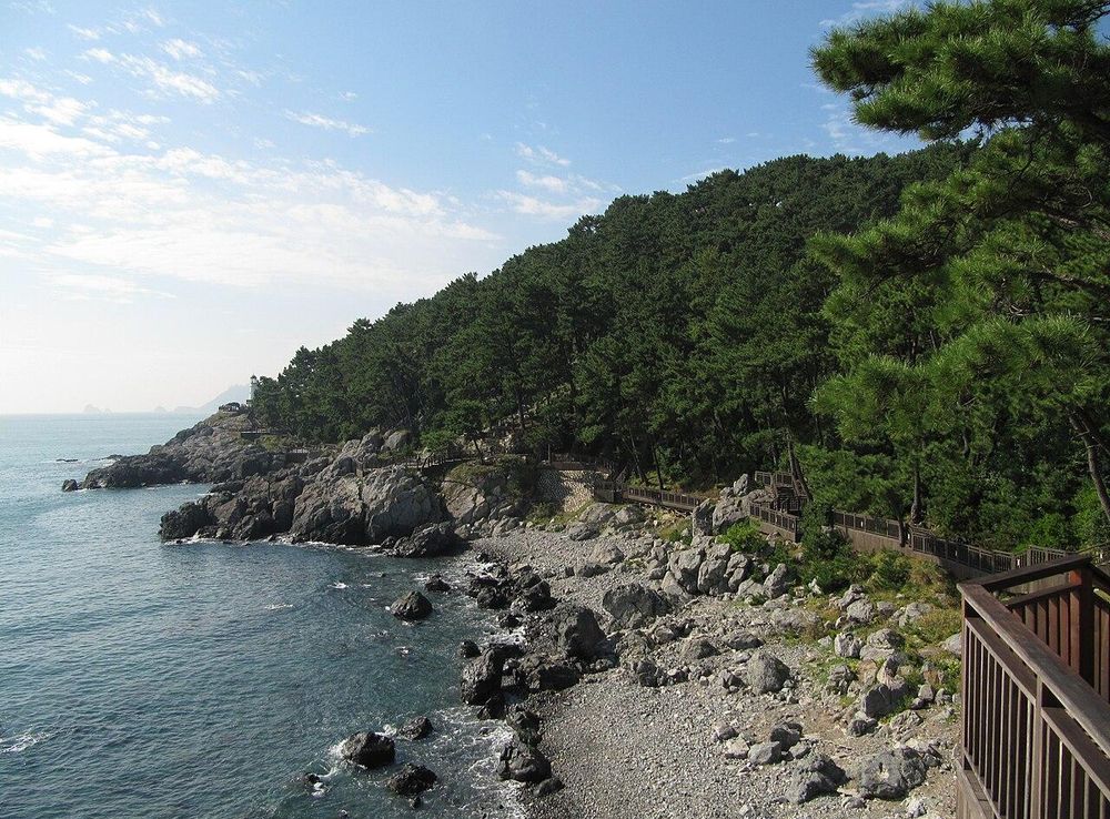 파일:Dongbaek island Busan.jpg - 위키백과, 우리 모두의 백과사전