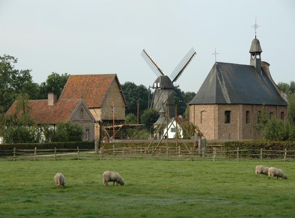 File:Bokrijk haspengouw.JPG - Wikimedia Commons