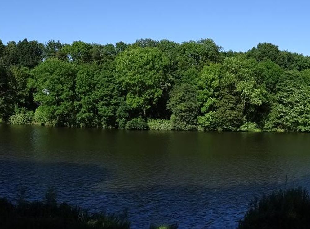 File:Stadtwerderwald Panorama.JPG - Wikimedia Commons