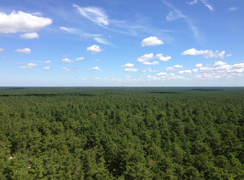 File:2014-08-29 11 51 25 View north-northeast from the fire tower on Apple  Pie Hill in Wharton State Forest, Tabernacle Township, New Jersey.JPG -  Wikimedia Commons