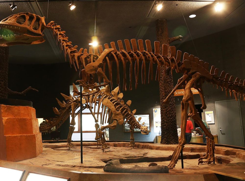 File:Yangchuanosaurus zigongensis.jpg - Wikipedia
