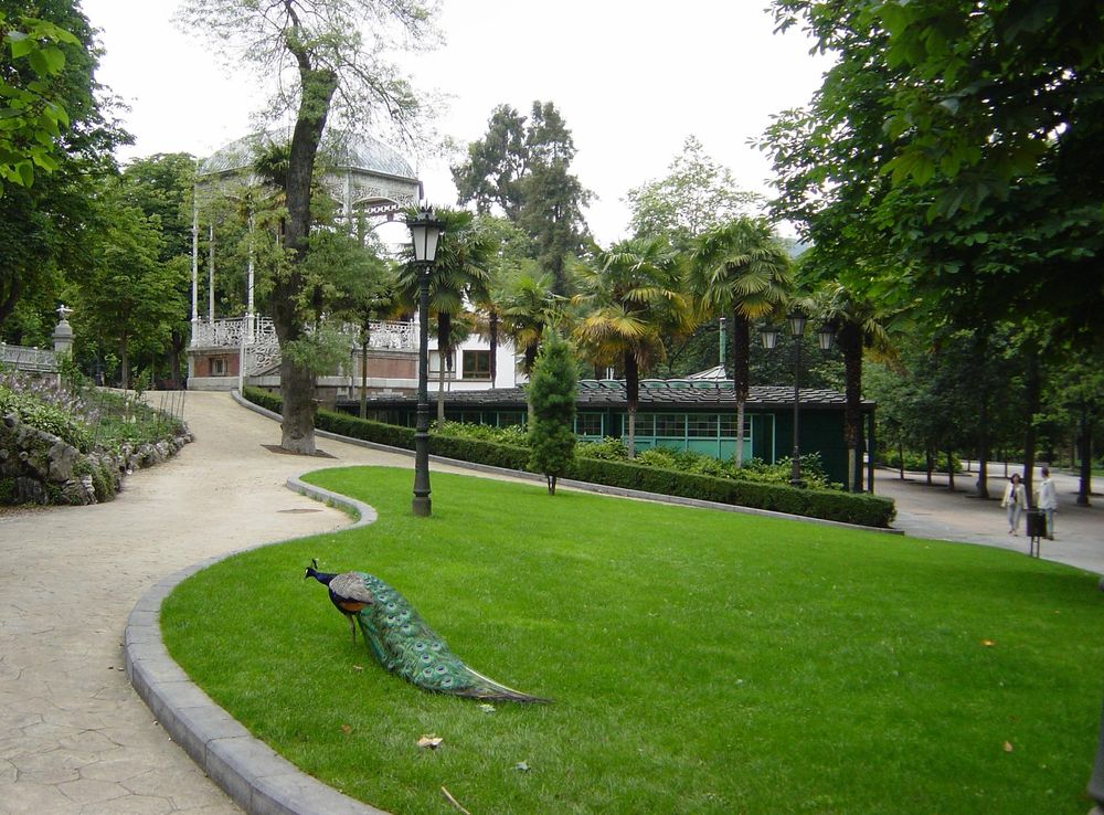 Archivo:PARQUE SAN FRANCISCO PAVO REAL2.JPG - Wikipedia, la enciclopedia  libre
