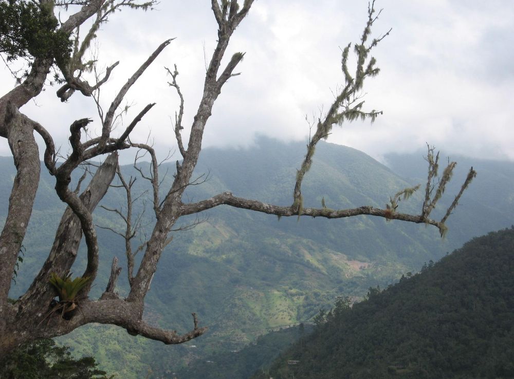 File:Blue Mountains, Jamaica.jpg - Wikipedia