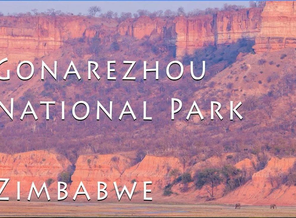 Wildlife Filmmaking - Place of Many Elephant (Gonarezhou National Park)