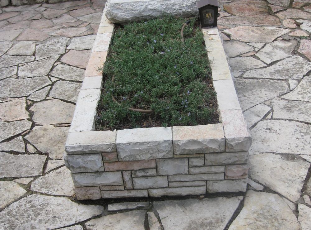 קובץ:Mount Herzl Military Cemetery IMG 1334.JPG – ויקיפדיה