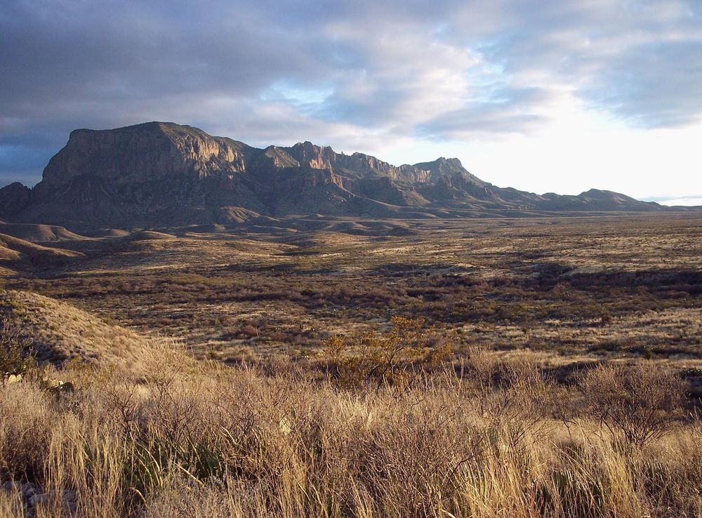 File:Big Bend Chihuahuan Desert.jpg - Wikimedia Commons