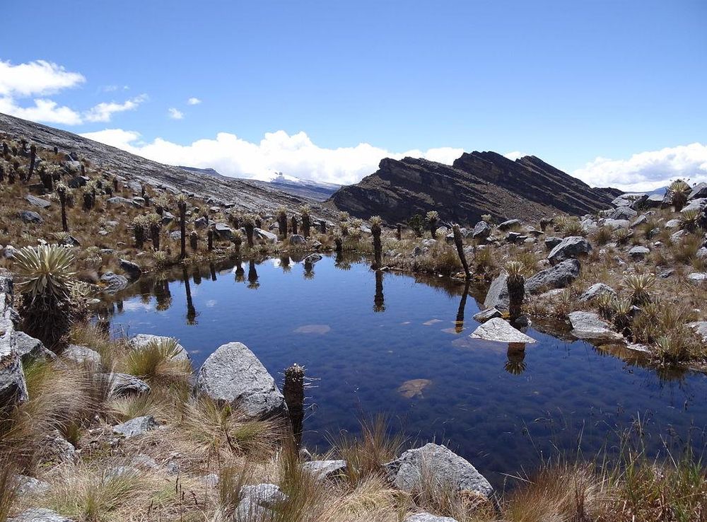 File:Paraje Sierra Nevada del Cocuy.JPG - Wikimedia Commons