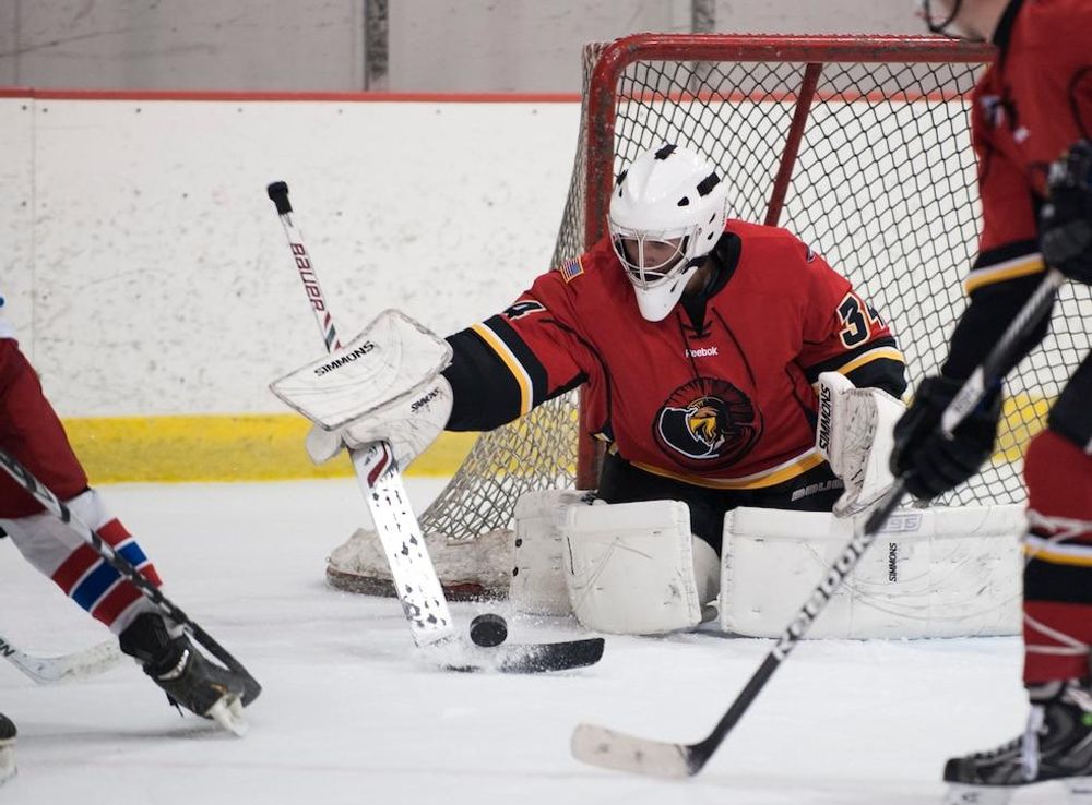 Guardians of JBA hockey