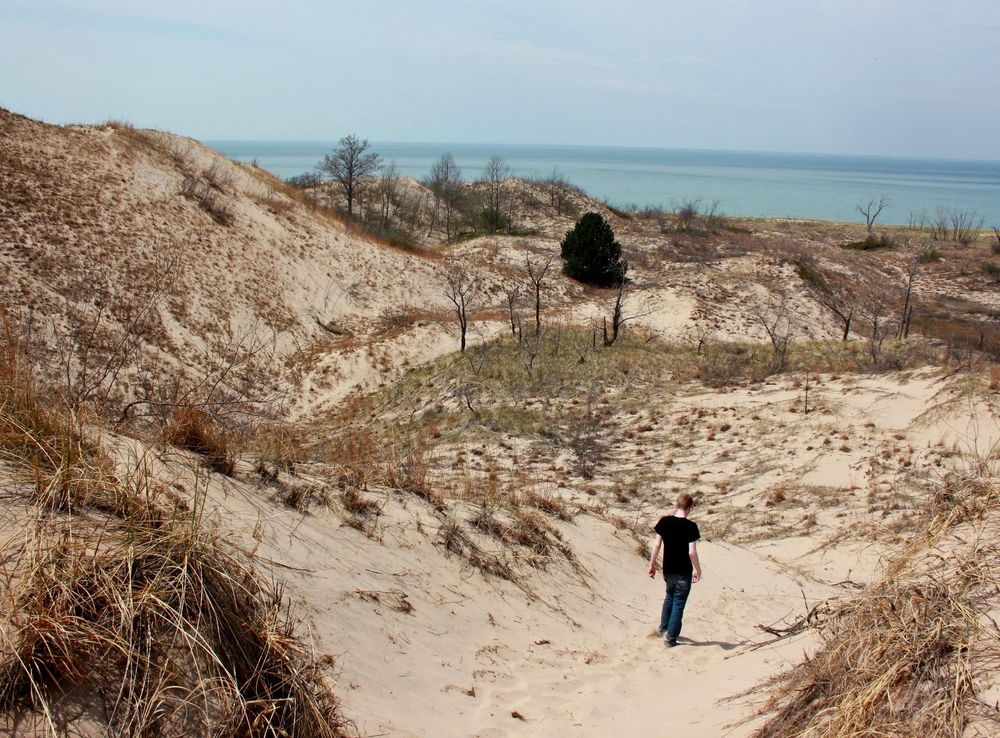 File:Warren Dunes State Park - panoramio (1).jpg - Wikimedia Commons