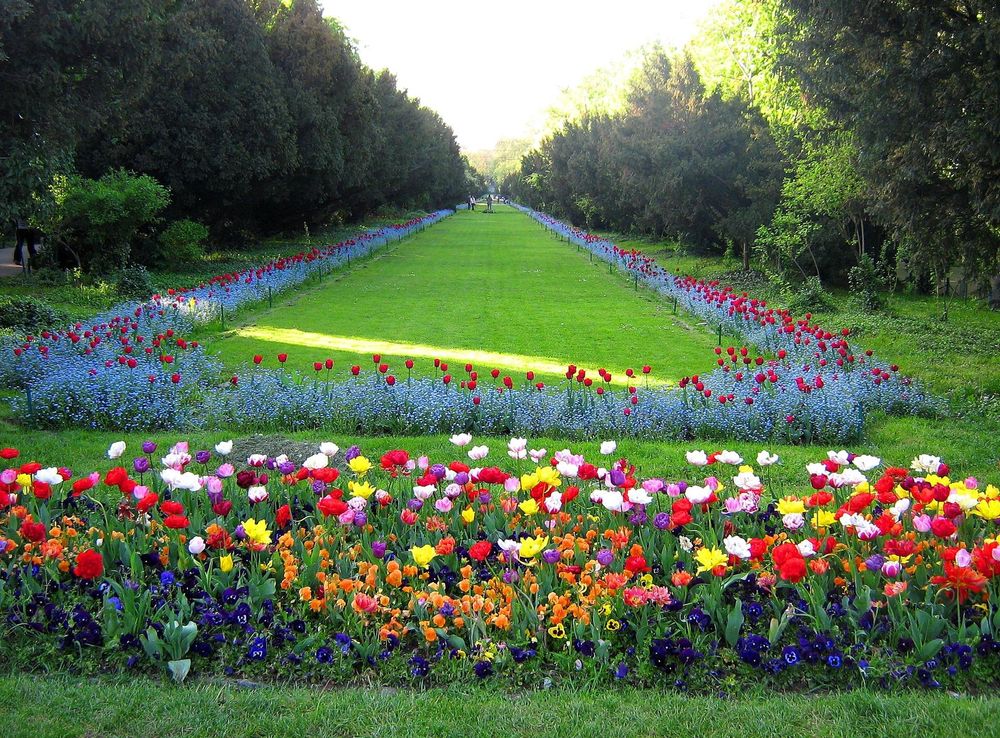 File:Cişmigiu Gardens (2438863237).jpg - Wikipedia