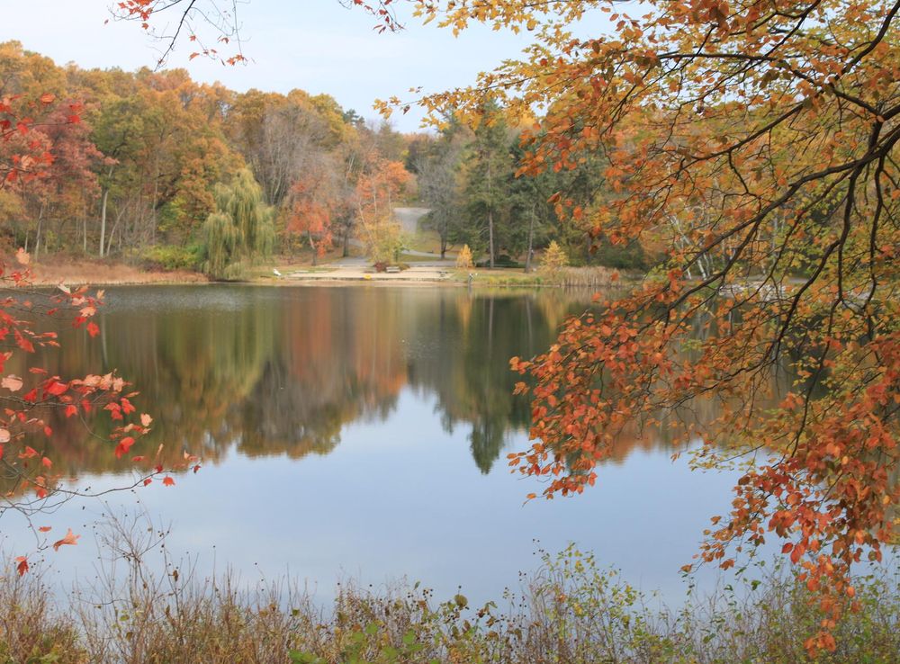 File:Hidden Lake in Hidden Lake Gardens Michigan.JPG - Wikimedia Commons