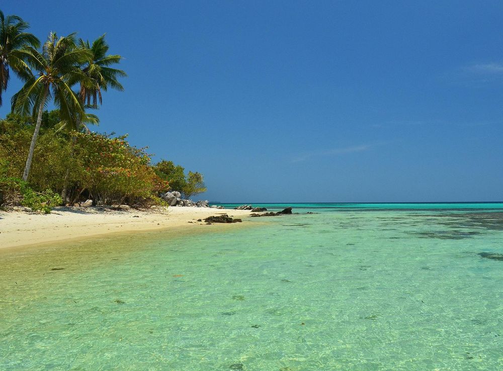 Berkas:Pantai tanjung gelam Taman Nasional Karimunjawa.jpg - Wikipedia  bahasa Indonesia, ensiklopedia bebas