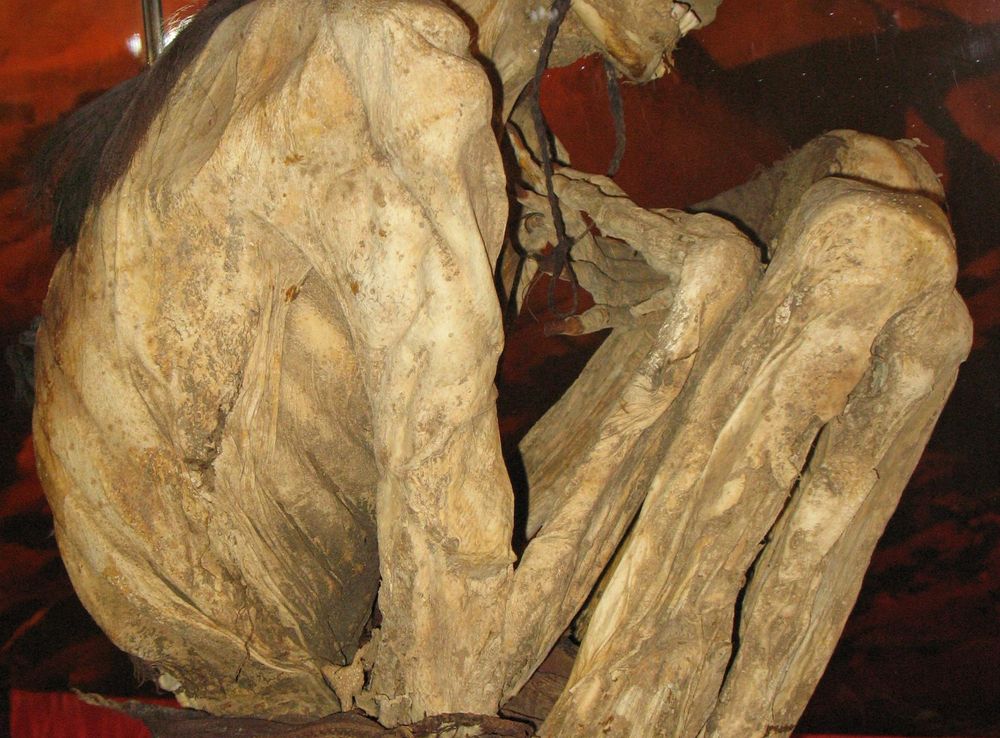 File:Mumie Atacama Peru Chile anagoria.JPG - Wikimedia Commons