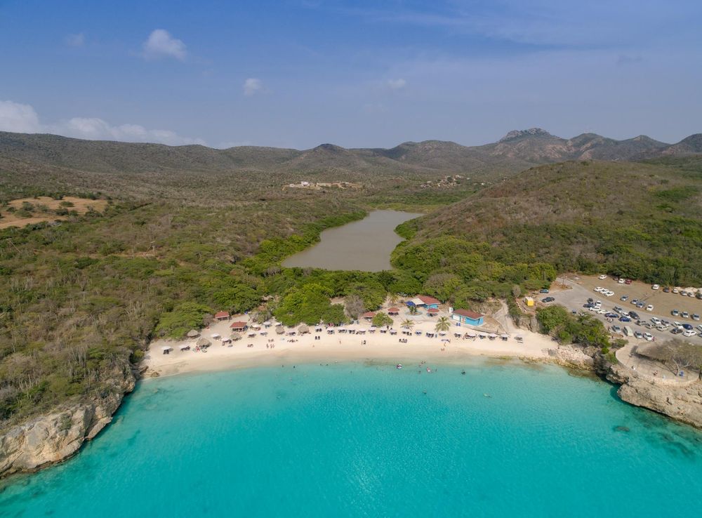 File:Grote Knip Curacao (34800917861).jpg - Wikimedia Commons