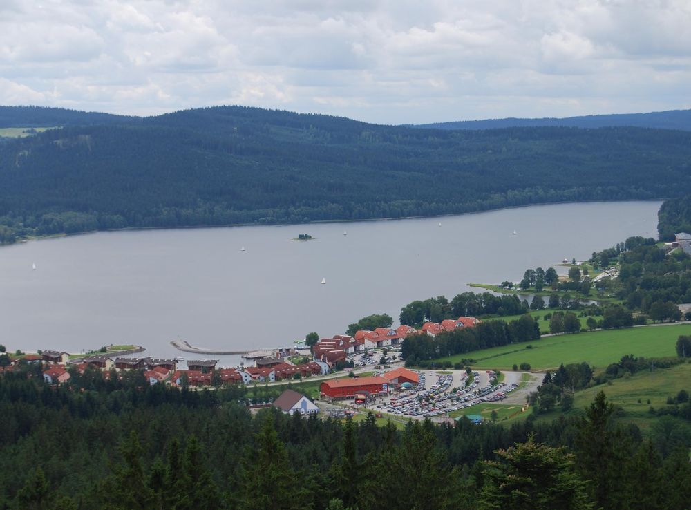 File:Stezka korunami stromů. Lipno nad Vltavou. (14.).jpg - Wikimedia  Commons