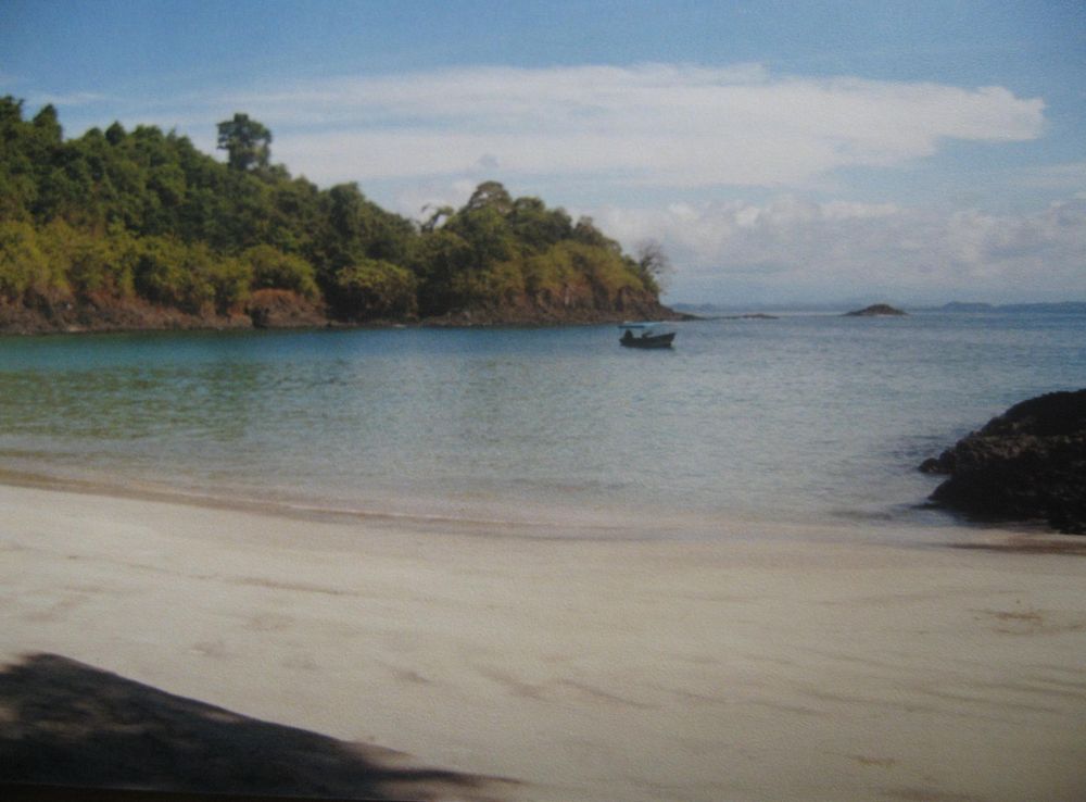 File:Parque Nacional Chiriquí.JPG - Wikipedia
