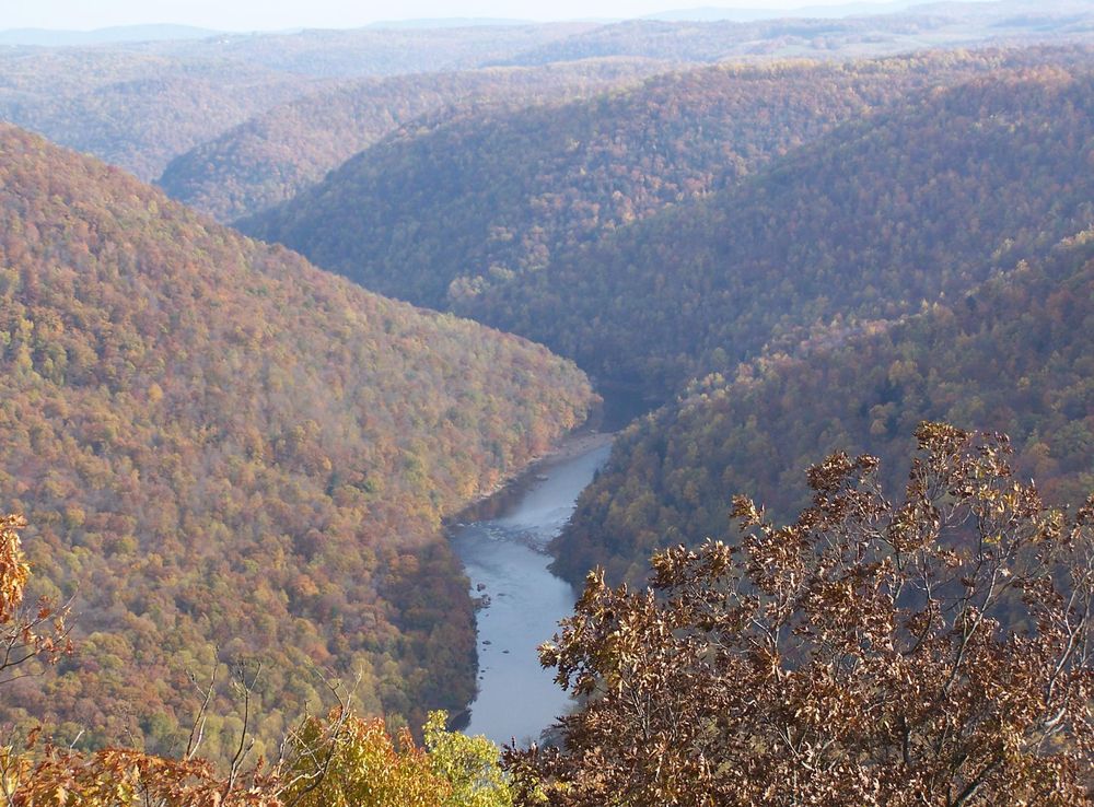 File:Coopers Rock State Forest.jpg - Wikimedia Commons
