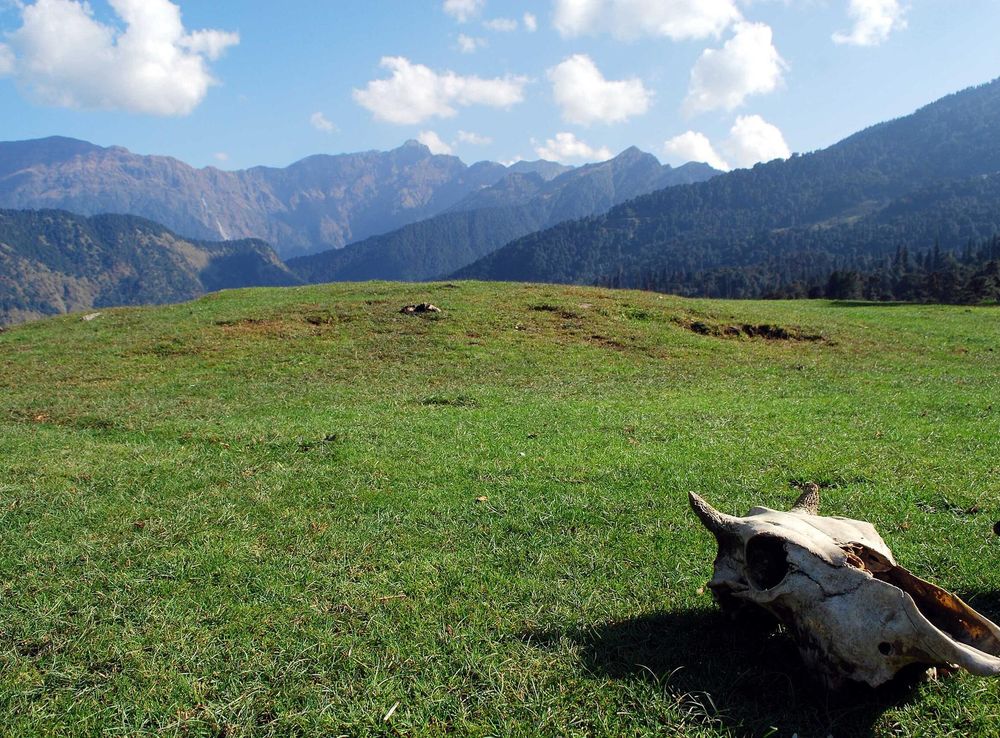 File:Chopta - Mini Switzerland of India.jpg - Wikimedia Commons
