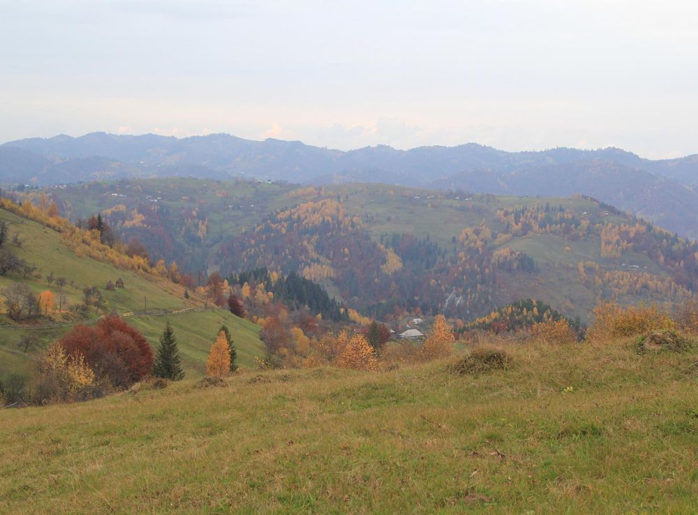 File:Осінь в Устеріках.JPG - Wikimedia Commons