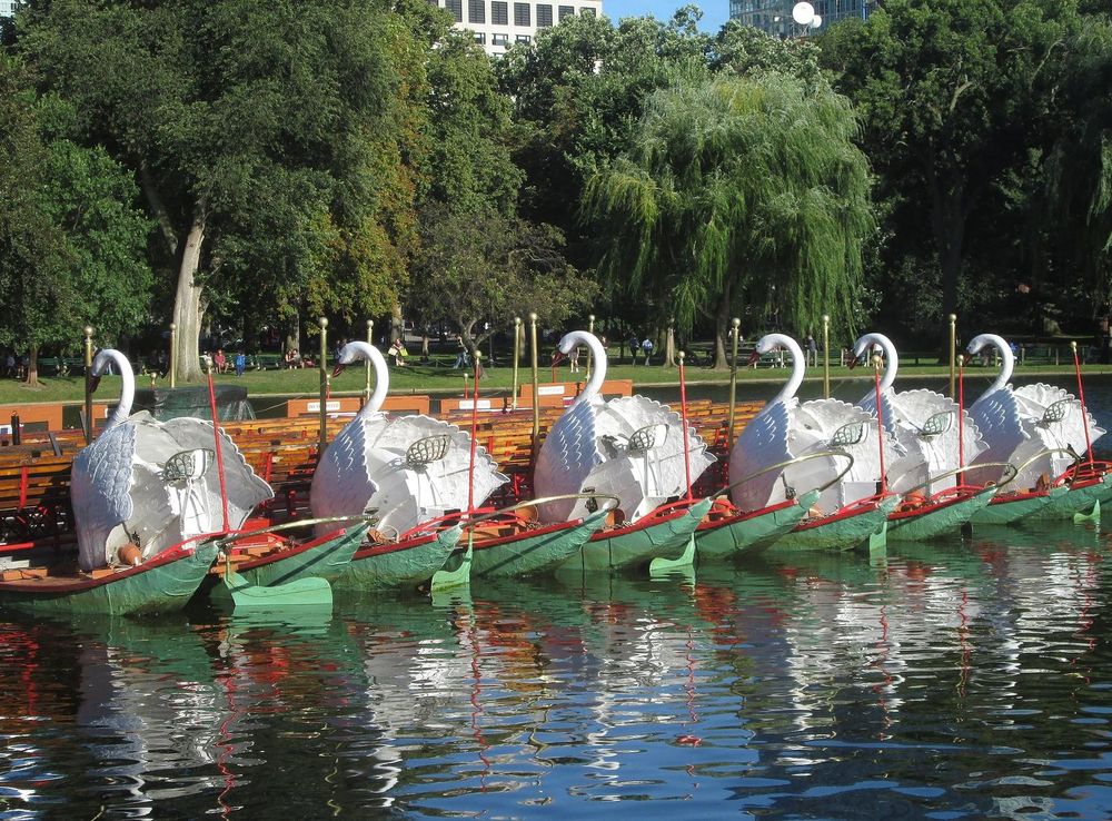 File:2017 Boston Public Garden Swan Boats from west closeup.jpg - Wikimedia  Commons