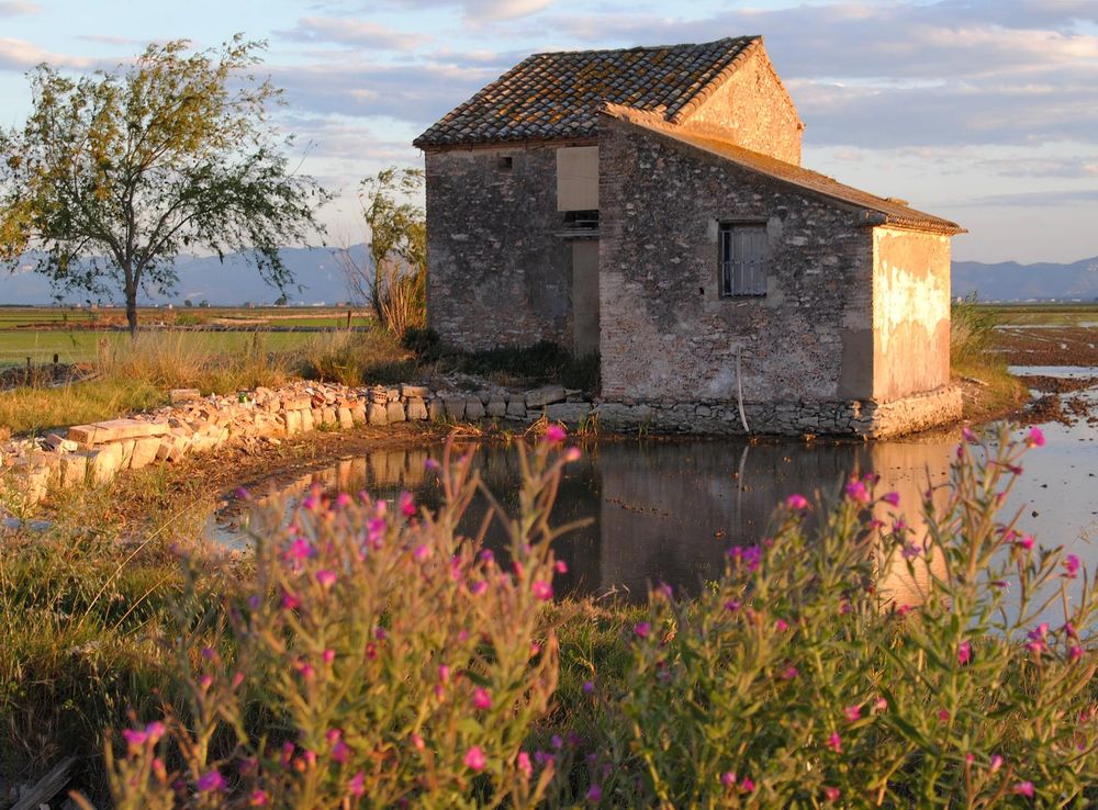 File:ALBUFERA (PARQUE NATURAL).JPG - Wikimedia Commons
