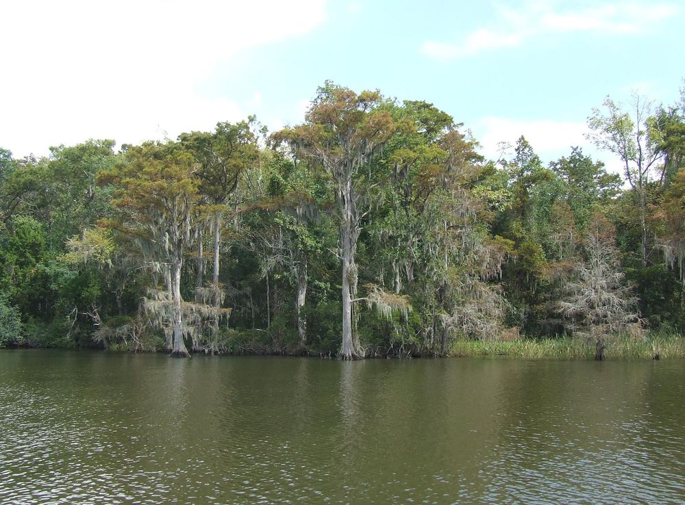 File:Delta landscape, Alabama (5984944050).jpg - Wikimedia Commons