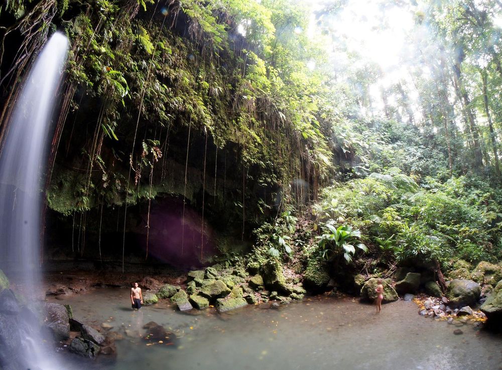 File:Emerald Pool Dominica.JPG - Wikimedia Commons