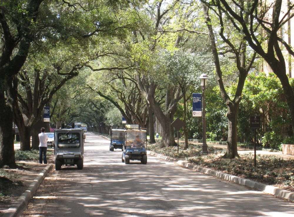 File:Rice University - Arboretum.JPG - Wikimedia Commons