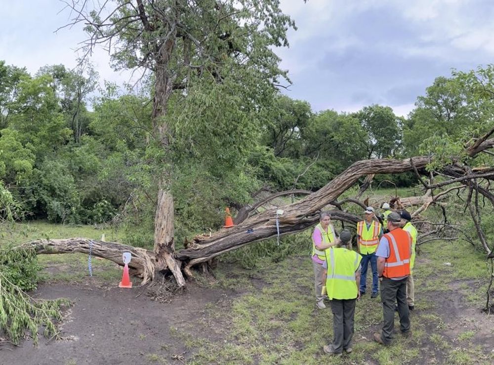 Chickasaw National Recreation Area's trees in the wake of a tornado -  Chickasaw National Recreation Area (U.S. National Park Service)