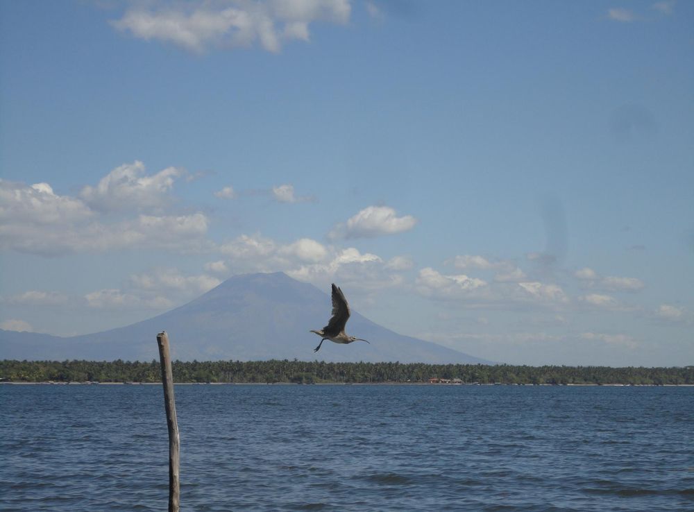 File:Bahia de Jiquilisco, El Salvador.JPG - Wikimedia Commons