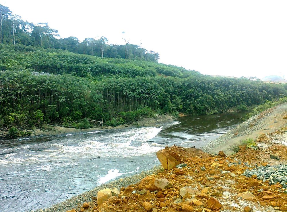 File:Benito (Mbini) River Sendje Equatorial Guinea 1 2015 BNB-UM.jpg -  Wikimedia Commons