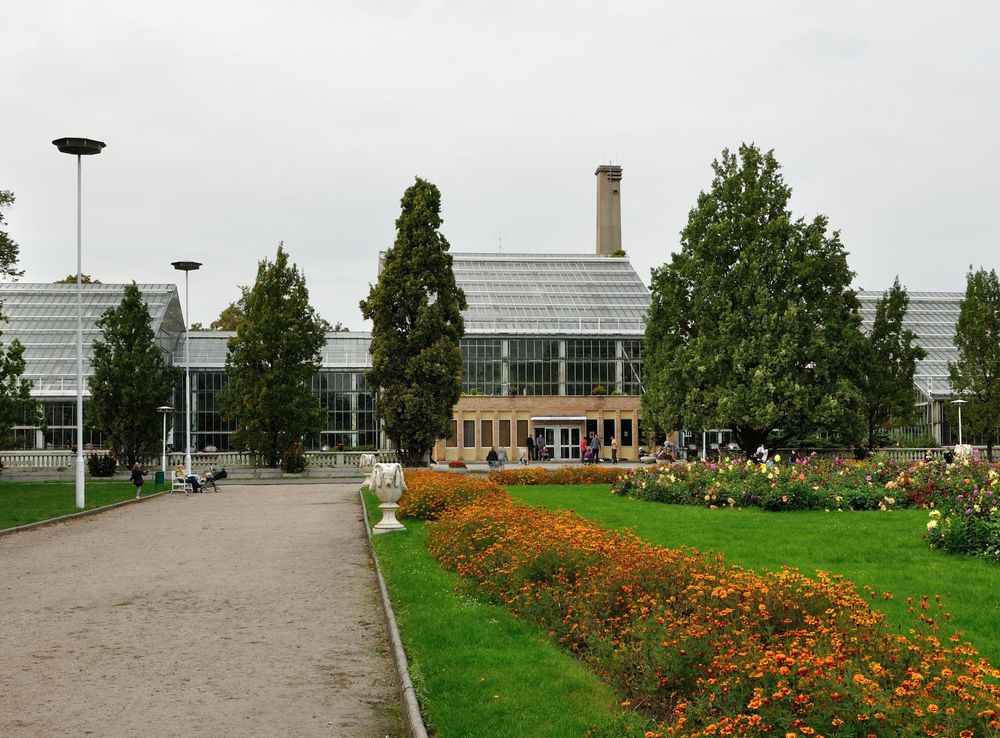 Plik:Palmiarnia Poznańska.JPG – Wikipedia, wolna encyklopedia