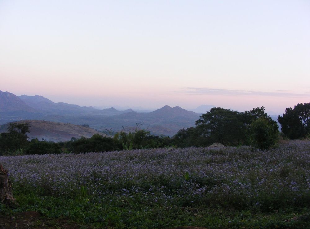 File:At the slopes of Zomba Platea.JPG - Wikimedia Commons