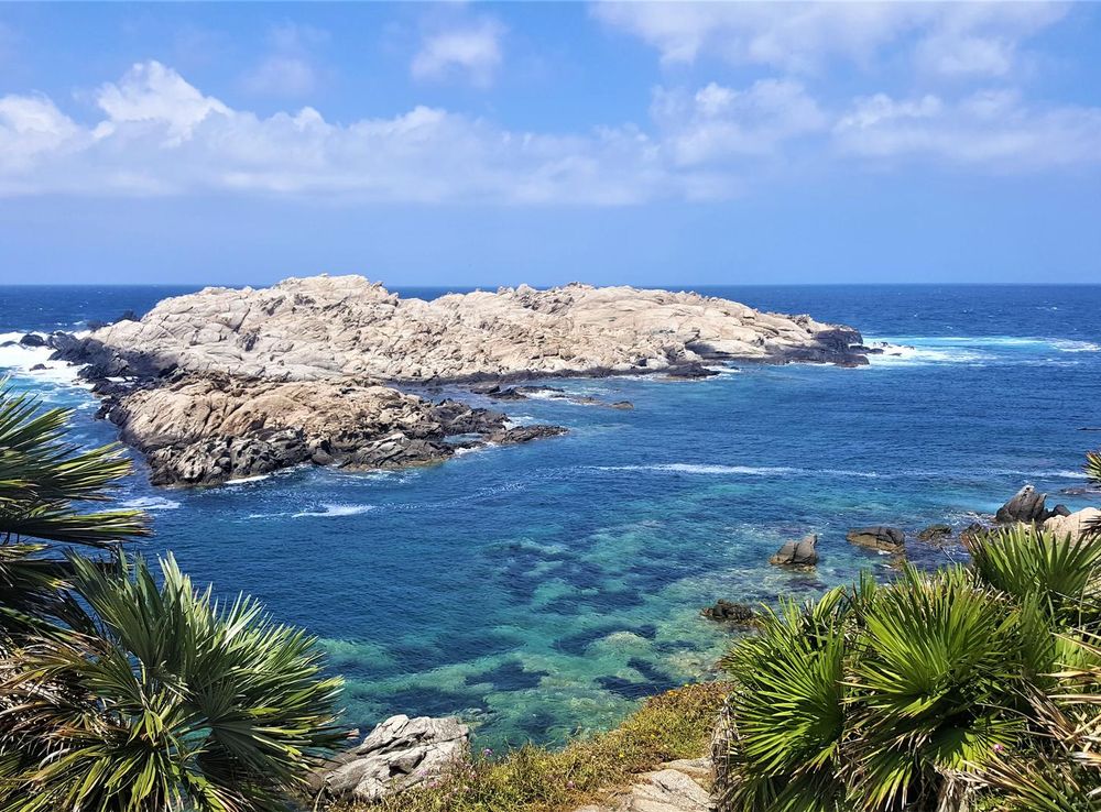 File:Vivier, Annaba, ALGERIA.jpg - Wikimedia Commons