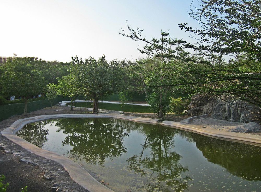 File:Pradyuman Park l Rajkot l Gujarat.jpg - Wikimedia Commons