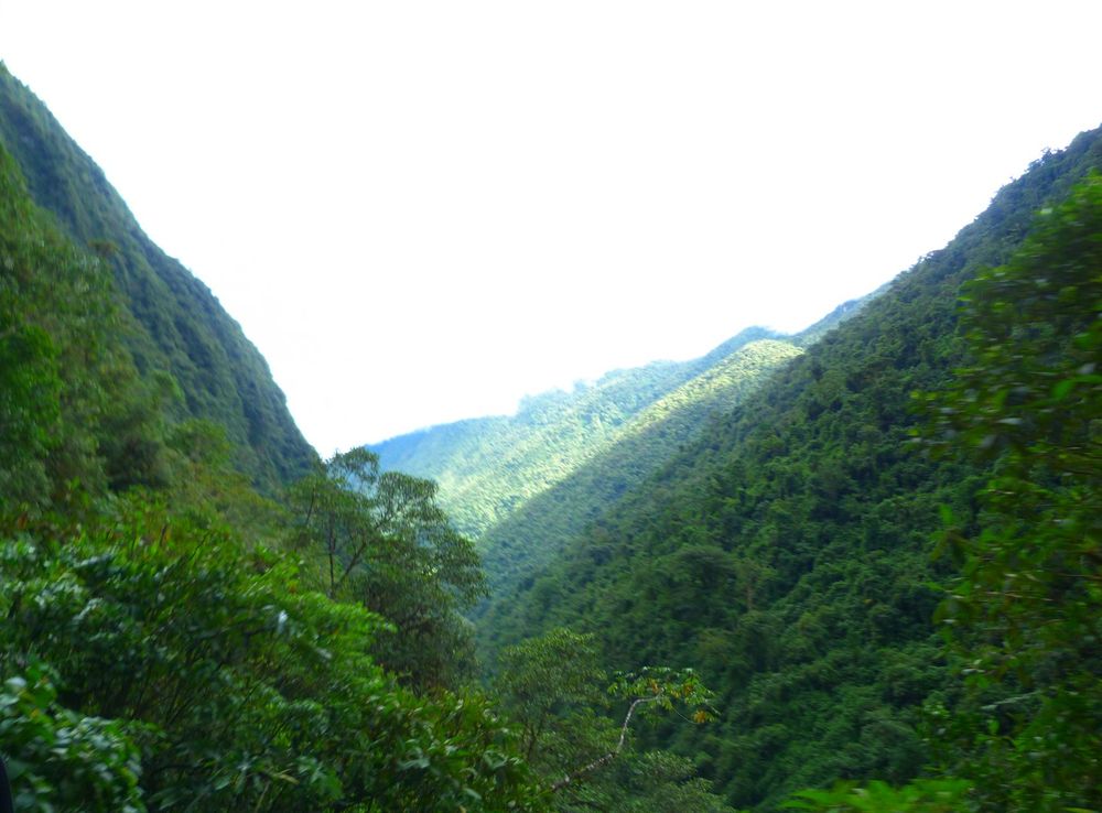 File:Parque Nacional Yanachaga Chemillen, Pasco 03.jpg - Wikimedia Commons