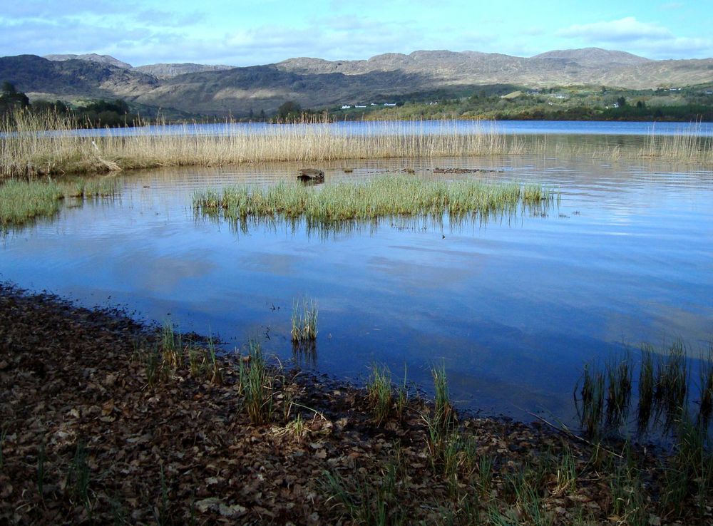 File:Lough Eske near Harvey's Point - geograph.org.uk - 2362529.jpg -  Wikimedia Commons