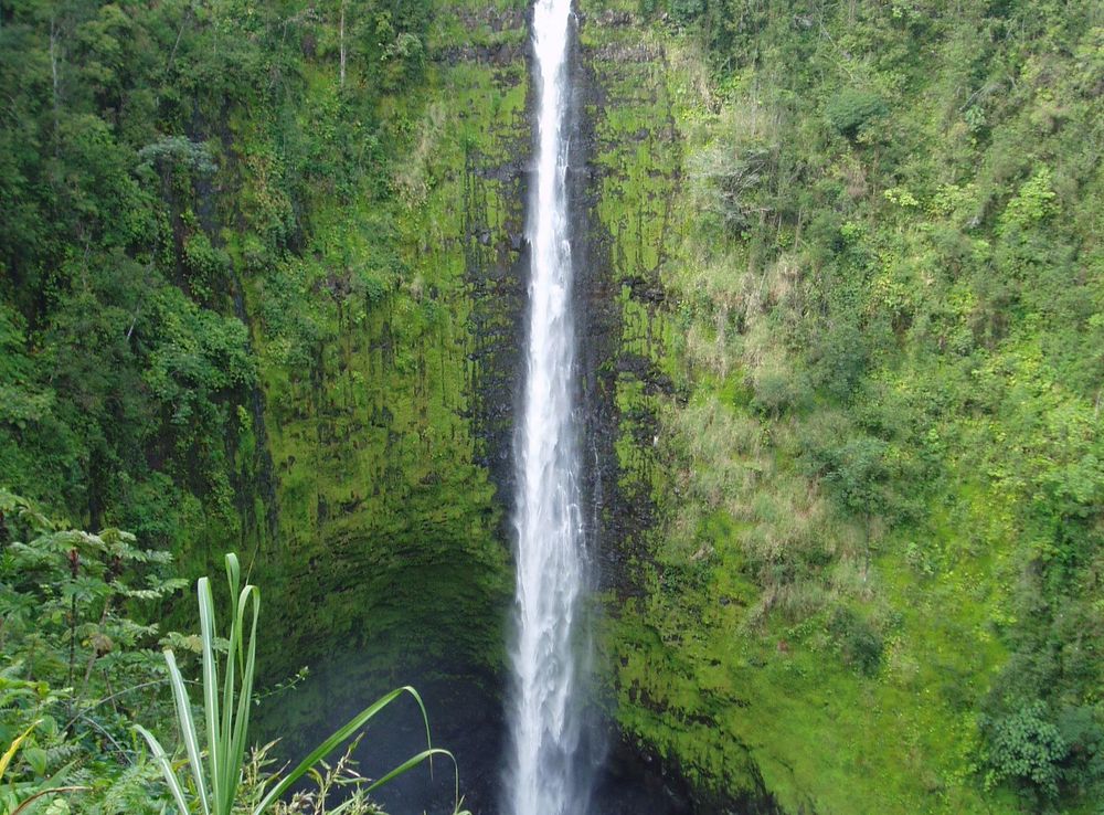 File:Akaka Falls - Waterfall in Hawaii.jpg - Wikimedia Commons