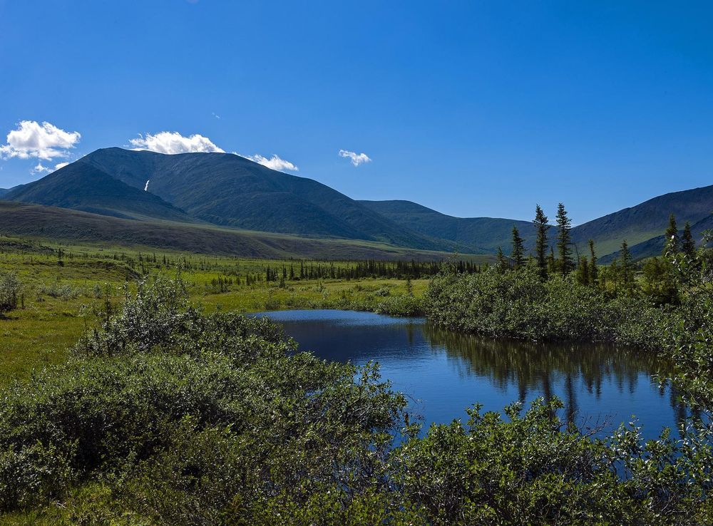 File:Tundra landscape with mountains and small pond, Ivvavik National Park,  YT.jpg - Wikimedia Commons