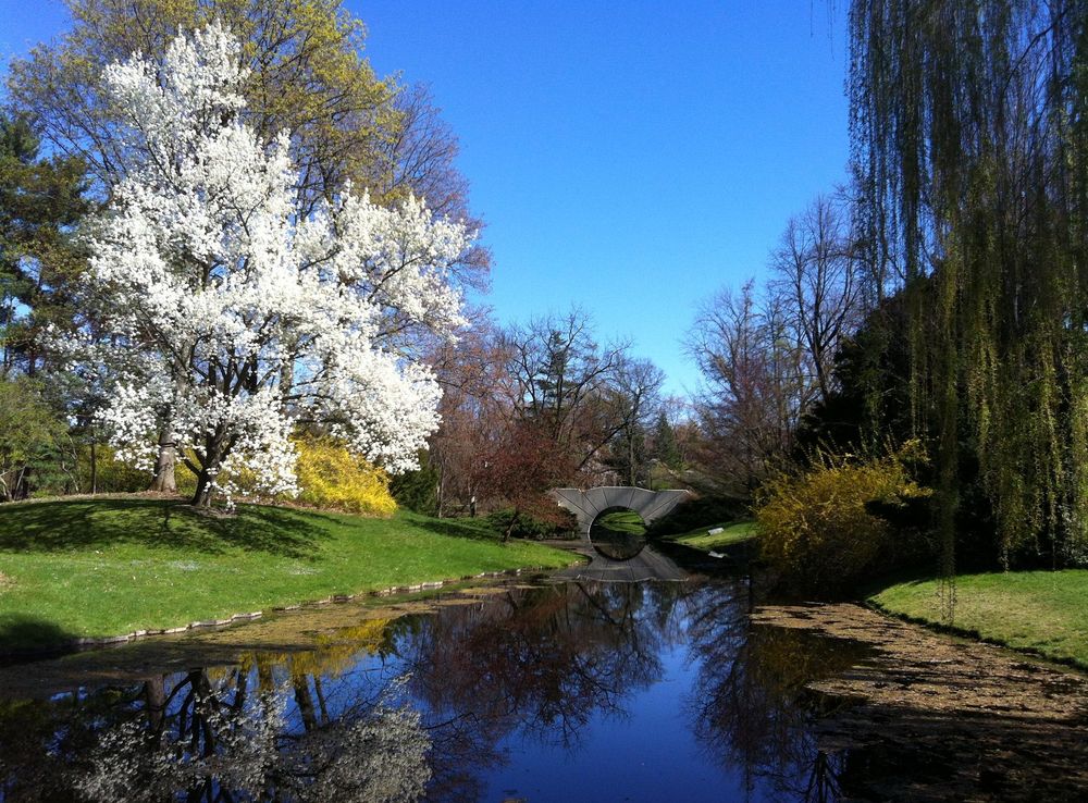 File:Dow Gardens-Spring.jpg - Wikimedia Commons