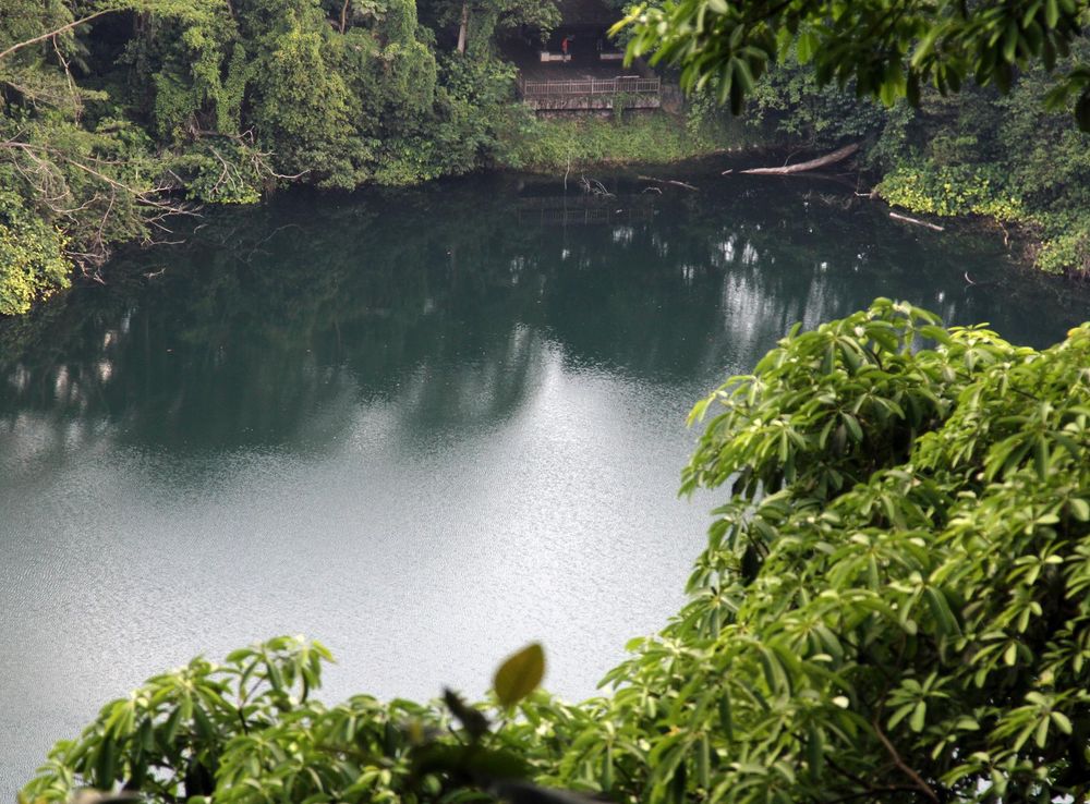 Bukit Timah Nature Reserve - Wikipedia
