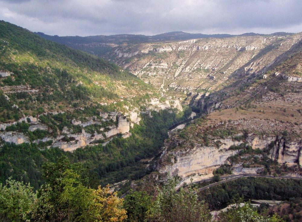 File:Gorges Du Tarn, Cevennes National Park, France.jpg - Wikimedia Commons