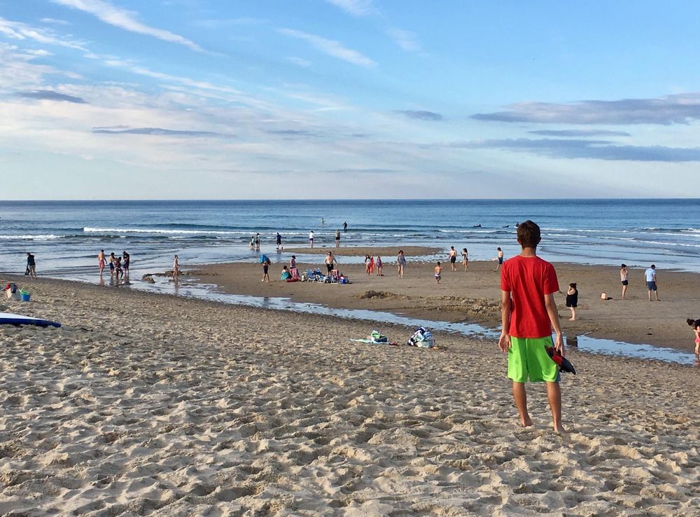 Cape Cod National Seashore Among “Top 20” National Park Areas for  Visitation in 2021 - Cape Cod National Seashore (U.S. National Park Service)