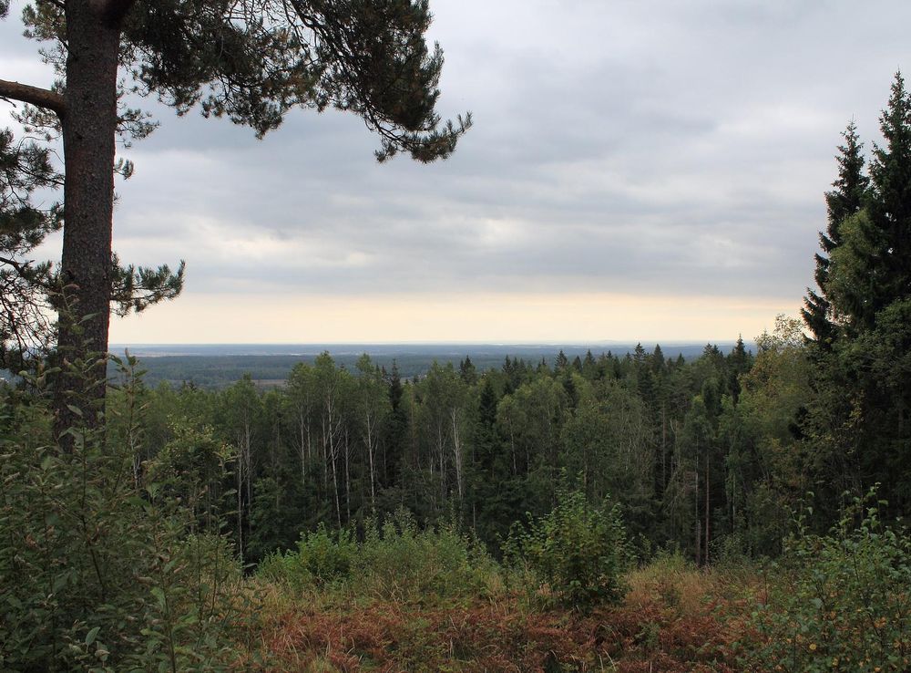 File:Garphyttan National Park, view from the highest place.jpg - Wikimedia  Commons