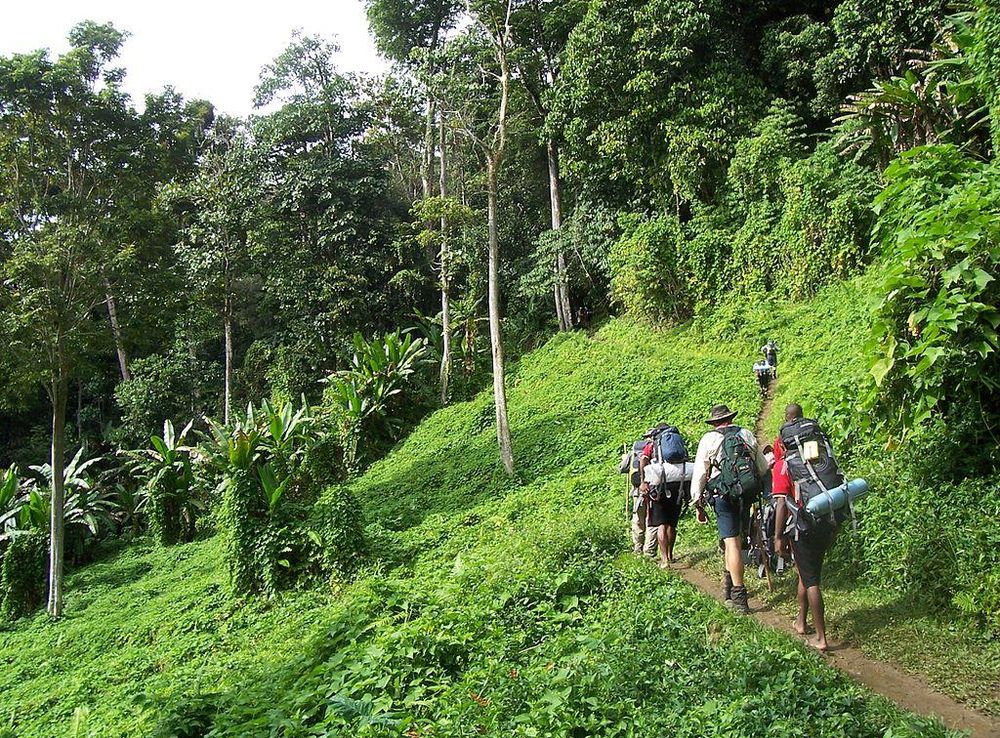 File:Kokoda track Papua New Guinea.JPG - Wikimedia Commons