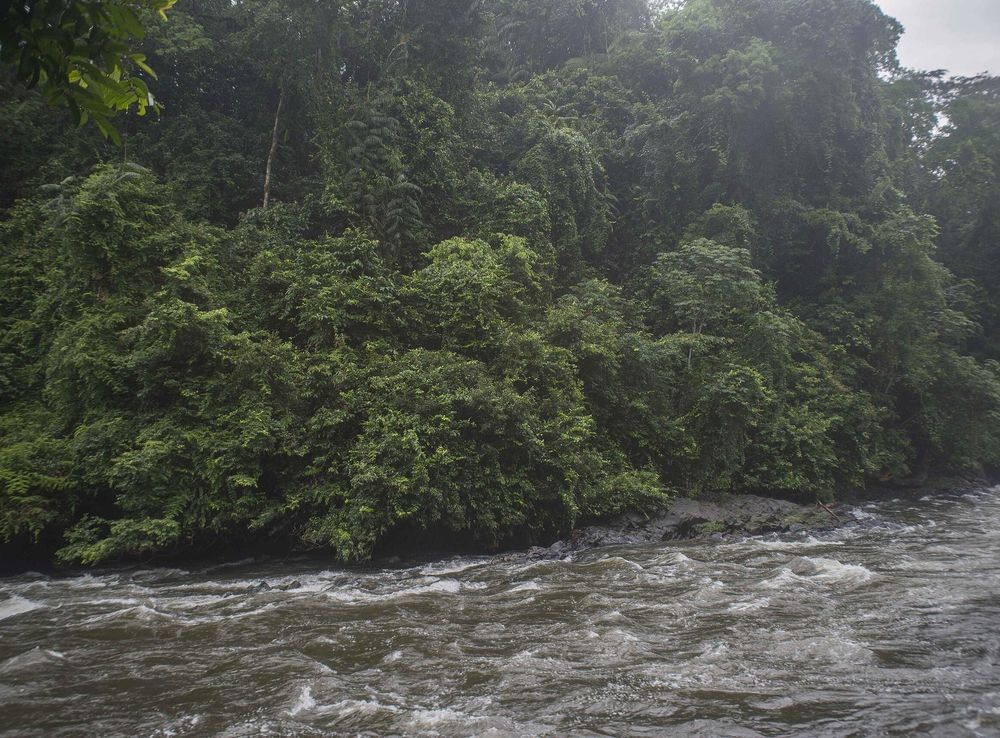 File:Kwa Falls Calabar 27.jpg - Wikimedia Commons