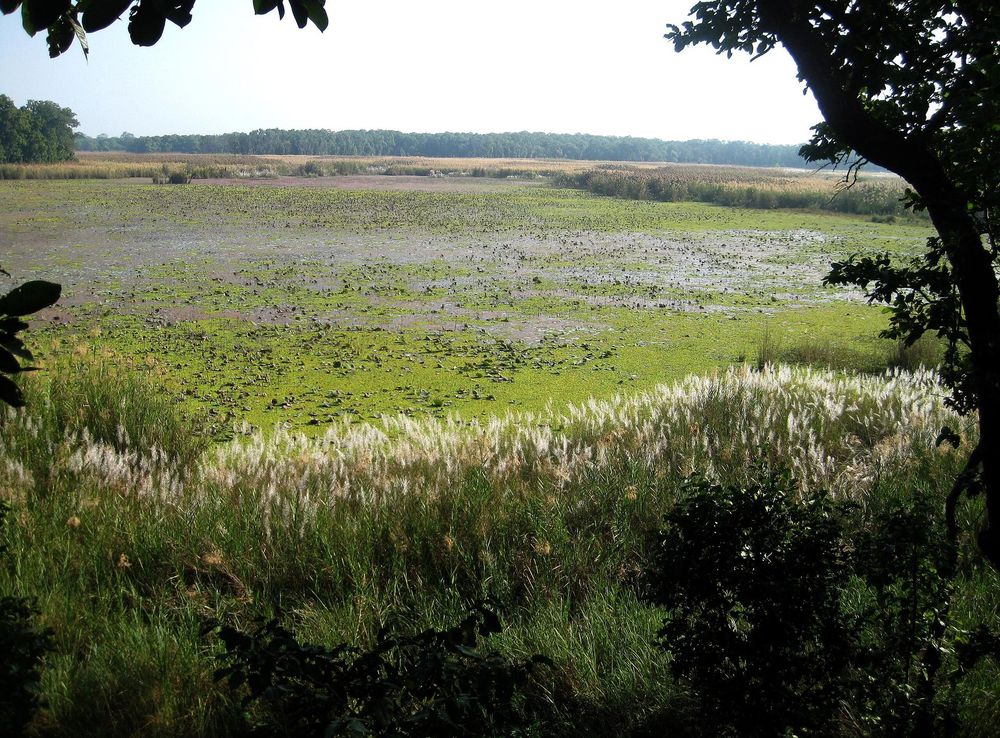 File:Ranitaal1.JPG - Wikipedia