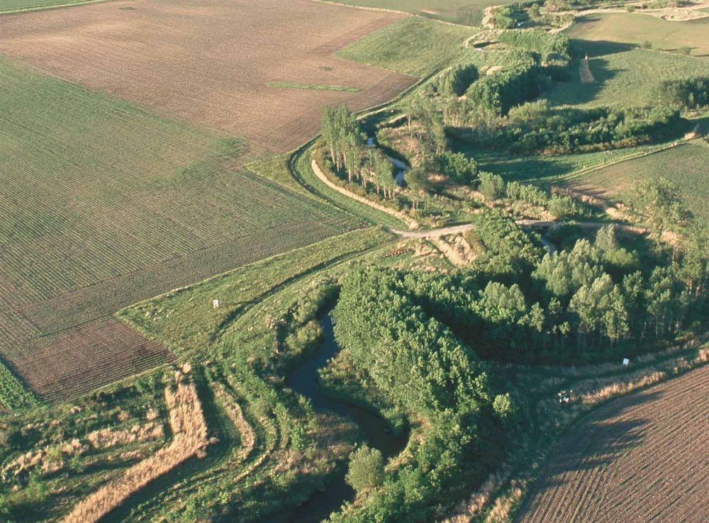 File:Riparian buffer on Bear Creek in Story County, Iowa.JPG - Wikipedia